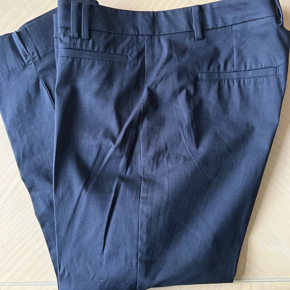 Ann Taylor Blue Cropped Ankle Pants